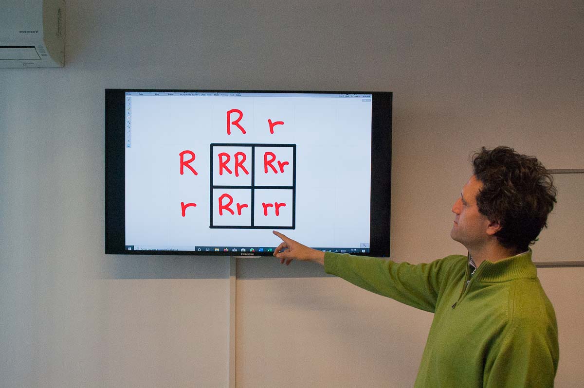 ripetizioni scienze Trieste